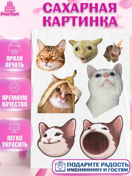 Сахарная картинка, Мемы и коты, кот, мемный кот, кошка, приколы, Девочка, День рождения, арт. PT119329