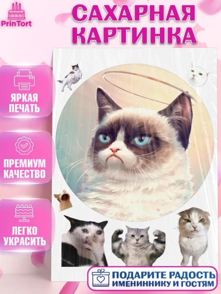 Сахарная картинка, Мемы и коты, кот, мемный кот, кошка, приколы, Девочка, День рождения, арт. PT119330