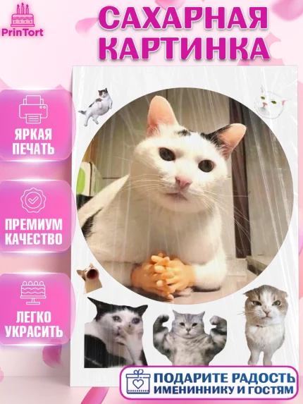 Сахарная картинка, Мемы и коты, кот, мемный кот, кошка, приколы, Девочка, День рождения, арт. PT119331
