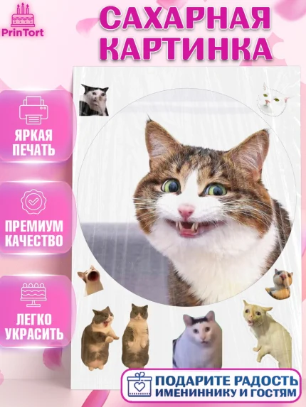 Сахарная картинка, Мемы и коты, кот, мемный кот, кошка, приколы, Девочка, День рождения, арт. PT119332