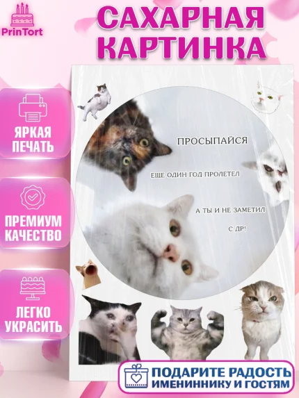 Сахарная картинка, Мемы и коты, кот, мемный кот, кошка, приколы, Девочка, День рождения, арт. PT119333
