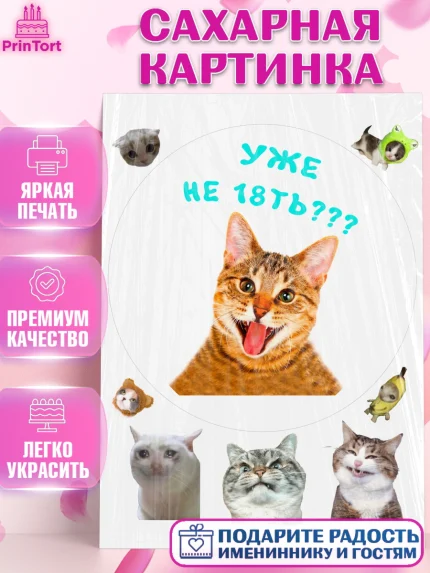 Сахарная картинка, Мемы и коты, кот, мемный кот, кошка, приколы, Девочка, День рождения, арт. PT119334