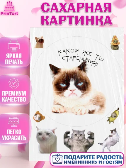 Сахарная картинка, Мемы и коты, кот, мемный кот, кошка, приколы, Девочка, День рождения, арт. PT119335