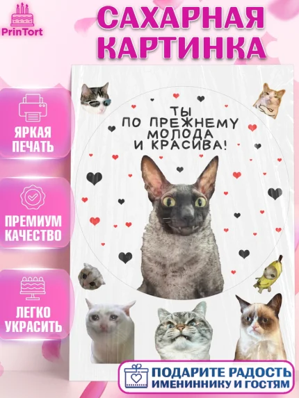Сахарная картинка, Мемы и коты, кот, мемный кот, кошка, приколы, Девочка, День рождения, арт. PT119336