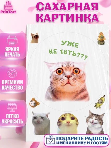 Сахарная картинка, Мемы и коты, кот, мемный кот, кошка, приколы, Девочка, День рождения, арт. PT119337