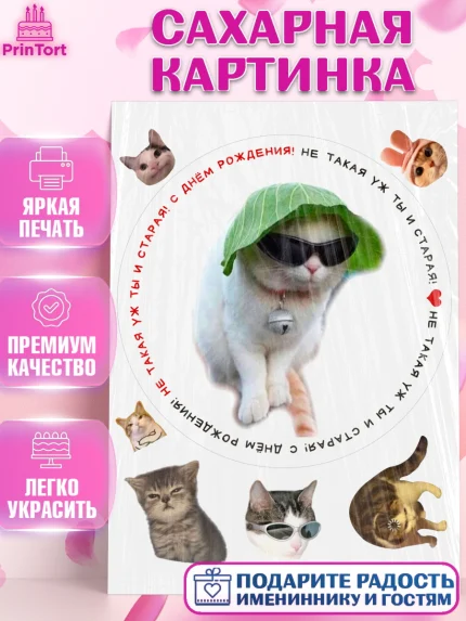 Сахарная картинка, Мемы и коты, кот, мемный кот, кошка, приколы, Девочка, День рождения, арт. PT119338