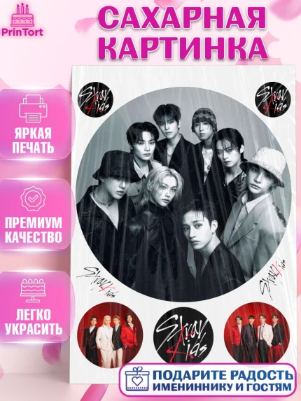 Сахарная картинка, Стрей Кидс, Музыкальная группа, Группа Stray Kids, Stray Kids, Девочка, арт. PT120070