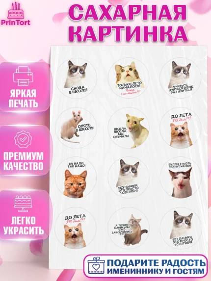 Сахарная картинка, 1 сентября, День знаний, снова в школу, первый раз в первый класс, арт. PT120118