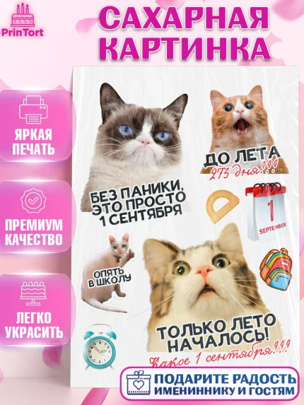 Сахарная картинка, 1 сентября, День знаний, снова в школу, первый раз в первый класс, арт. PT120125