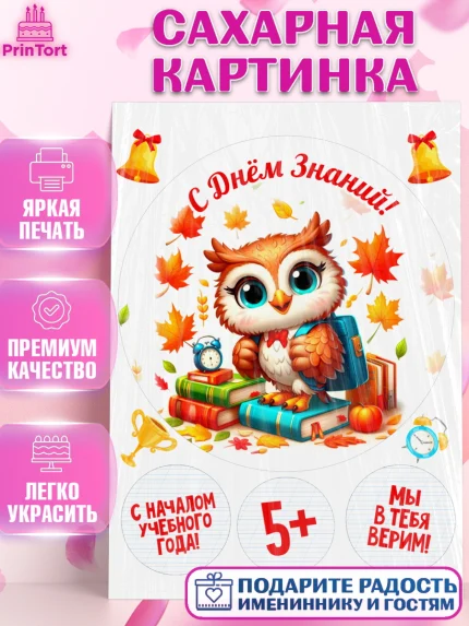 Сахарная картинка, 1 сентября, День знаний, снова в школу, первый раз в первый класс, арт. PT120131