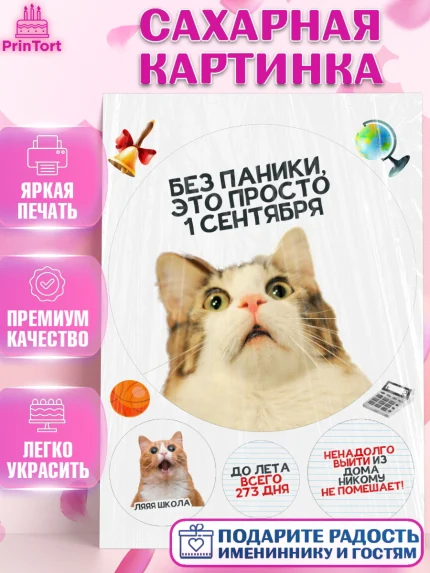Сахарная картинка, 1 сентября, День знаний, снова в школу, первый раз в первый класс, арт. PT120135