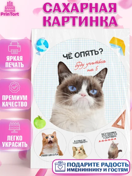 Сахарная картинка, 1 сентября, День знаний, снова в школу, первый раз в первый класс, арт. PT120136