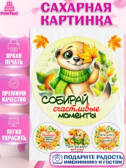 Сахарная картинка, День рождения, осень, осенняя пора, листья, девочка, осенние листья, арт. PT120215