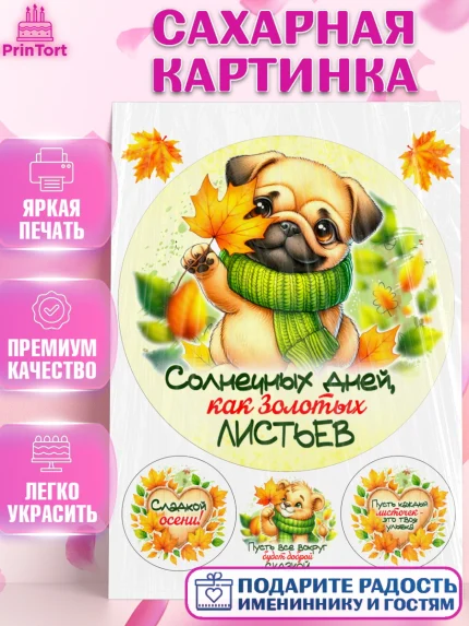 Сахарная картинка, День рождения, осень, осенняя пора, листья, девочка, осенние листья, арт. PT120217