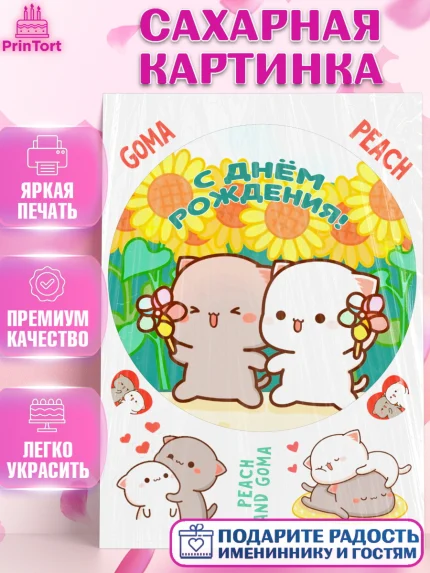 Сахарная картинка, Герои Пич и Гома, Пич и Гома, Peach and Goma, Девочка, День рождения, арт. PT120784