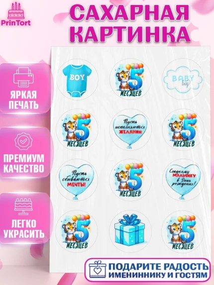 Сахарная картинка, День Рождение малыша, звери, животные, зоопарк, мальчику, шарики, Мальчик, арт. PT120870