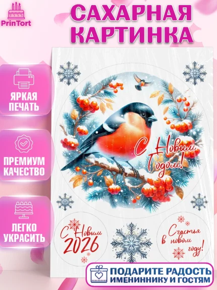 Сахарная картинка, Новый год, 2026, Новый год2026, Лошадь, лошадка, год лошади, Девочка, арт. PT121094