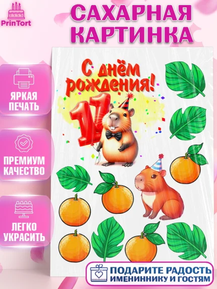Сахарная картинка, День рождения, Капибара, праздник, Девочка, 11 лет, арт. PT121410