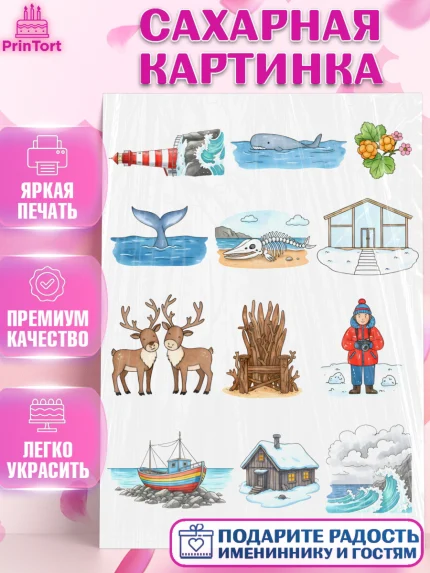Сахарная картинка, Мурманск, город Мурманск, любимый город Мурманск, из Мурманска с любовью, Девочка, арт. PT122261
