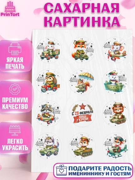 Сахарная картинка, 23 февраля, День защитника отечества, военный, мужчина, танк, самолет, фуражка, арт. PT122733