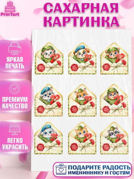 Сахарная картинка, 23 февраля, День защитника отечества, военный, мужчина, танк, самолет, фуражка, арт. PT122762