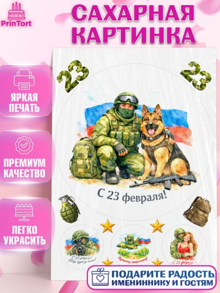 Сахарная картинка, 23 февраля, День защитника отечества, военный, мужчина, танк, самолет, фуражка, арт. PT122809