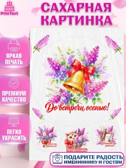 Сахарная картинка, Подарок учителю, Девушка, Выпускной в школе, арт. PT123162