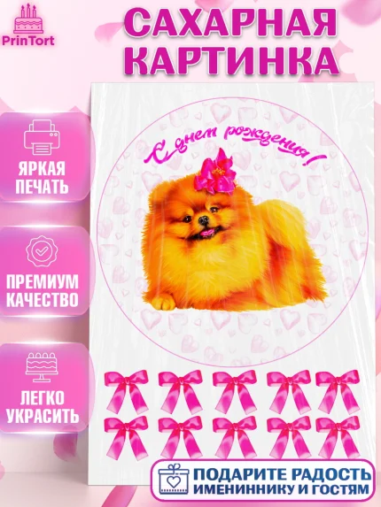 Сахарная картинка, Шпиц, Девочка, День рождения, арт. PT124936