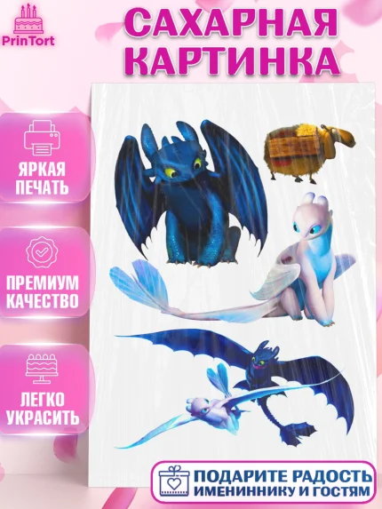 Сахарная картинка, Как приручить дракона, Девочка, День рождения, арт. PT124941