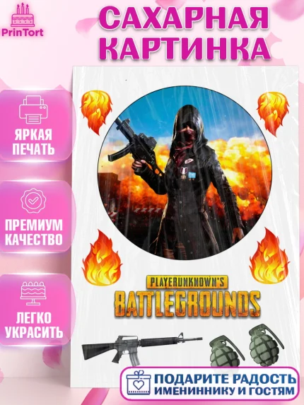 Сахарная картинка, ПАБГ, Battlegrounds, Девочка, День рождения, арт. PT125803