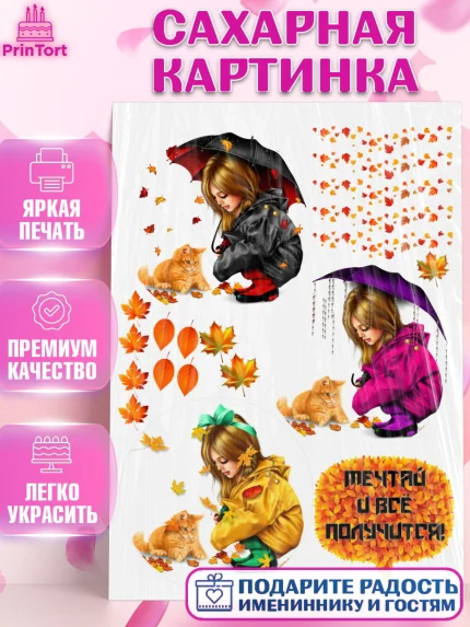 Сахарная картинка, Девушка, Бенто Торт, Девочка, День рождения, арт. PT125902