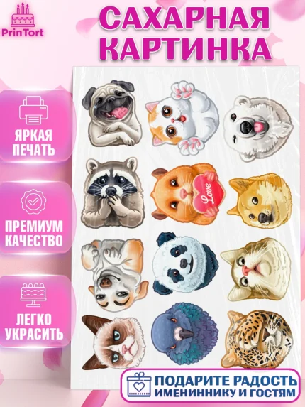 Сахарная картинка, Зверята, Животные, Девочка, День рождения, арт. PT126031