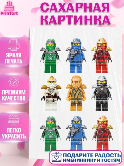 Сахарная картинка, Лего, Девочка, День рождения, арт. PT126046