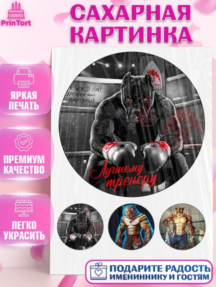 Сахарная картинка, Тренеру, Бокс, Мальчик, День рождения, арт. PT126052