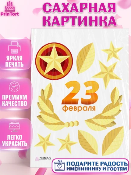 Сахарная картинка, 23 февраля, День Защитника Отечества, Мальчик, арт. PT126874