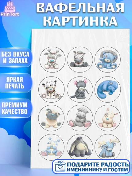 Вафельная картинка, Малышам, Девочке на день рождения, Мальчик, День рождения, арт. PT200218
