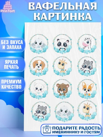 Вафельная картинка, Малышам, Мальчику день рождения, Мальчик, День рождения, арт. PT200229