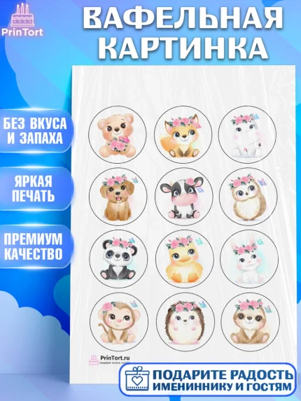 Вафельная картинка, Малышам, Девочке на день рождения, Мальчик, День рождения, арт. PT200233