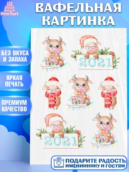Вафельная картинка, Новый год, Девочка, арт. PT200242