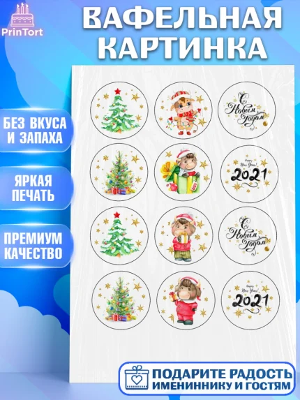 Вафельная картинка, Новый год, Девочка, арт. PT200355