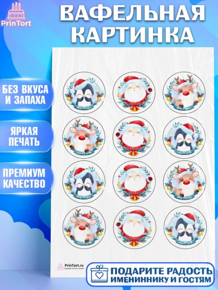 Вафельная картинка, Новый год, Девочка, арт. PT200356