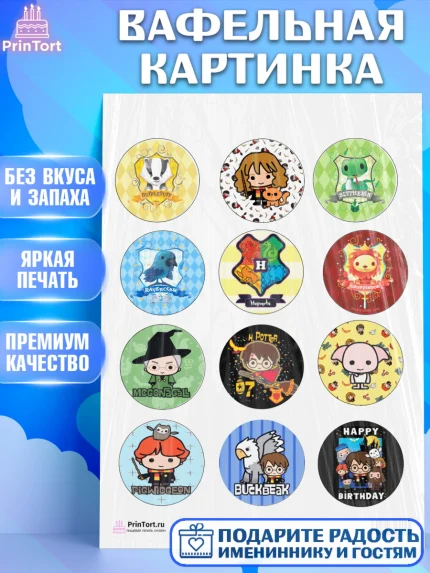 Вафельная картинка, Гарри Поттер, Harry Potter, Девочка, День рождения, арт. PT201337