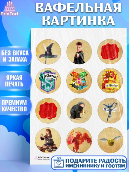Вафельная картинка, Гарри Поттер, Harry Potter, Девочка, День рождения, арт. PT201345