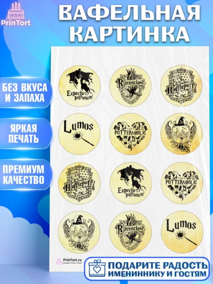Вафельная картинка, Гарри Поттер, Harry Potter, Девочка, День рождения, арт. PT201348