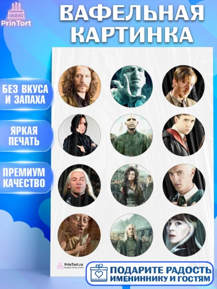 Вафельная картинка, Гарри Поттер, Harry Potter, Девочка, День рождения, арт. PT201349