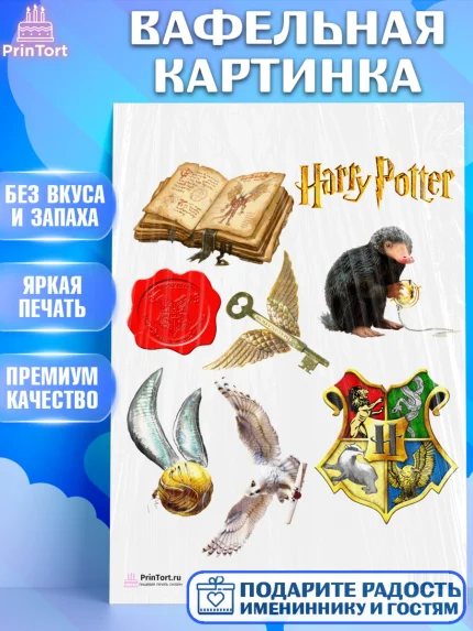 Вафельная картинка, Гарри Поттер, Harry Potter, Девочка, День рождения, арт. PT201350