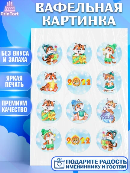 Вафельная картинка, Новый год, Девочка, арт. PT201552