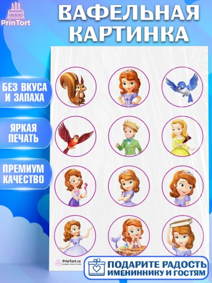 Вафельная картинка, София Прекрасная, Девочка, День рождения, арт. PT201669