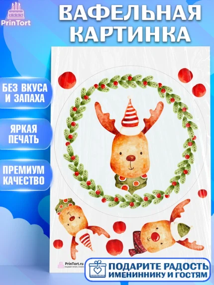 Вафельная картинка, Новый год, Девочка, арт. PT201844
