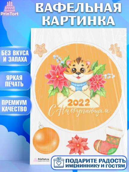 Вафельная картинка, Новый год, Девочка, арт. PT201846